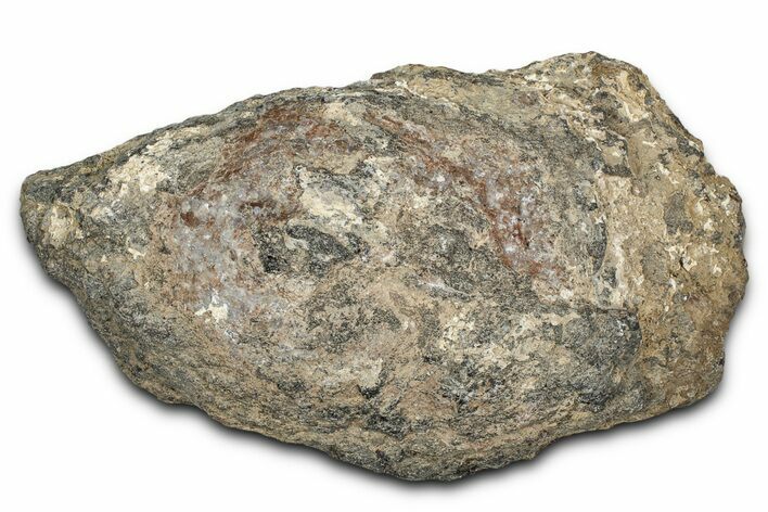 Miocene Volcanic Bomb - Nevada #299919